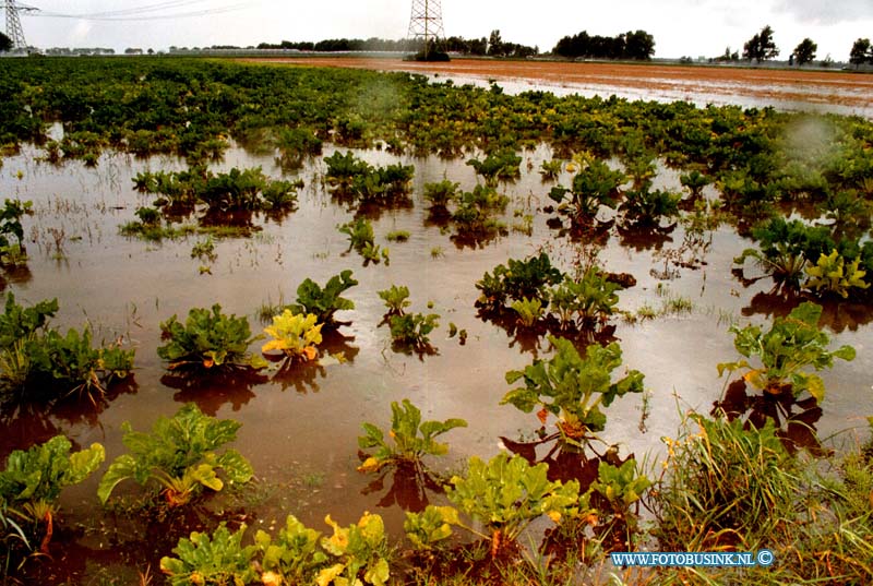 98091405.jpg - WLTO/WESTWEEK :WESTMAAS:WATEROVERLAST:14-09-1998: DE BOEREN IN DE HOEKSEWAARD KAMPEN MET EEN WATERPROBLEEM OP HUN AKKERS DOOR HET NOODWEER VAN HET AFGELOPEN WEEKEND OP DE PROVINALEWEG NAAR WESTMAAS WAREN DE PENSELEN BLANK KOMEN TE STAAN.Deze digitale foto blijft eigendom van FOTOPERSBURO BUSINK. Wij hanteren de voorwaarden van het N.V.F. en N.V.J. Gebruik van deze foto impliceert dat u bekend bent  en akkoord gaat met deze voorwaarden bij publicatie.EB/ETIENNE BUSINK